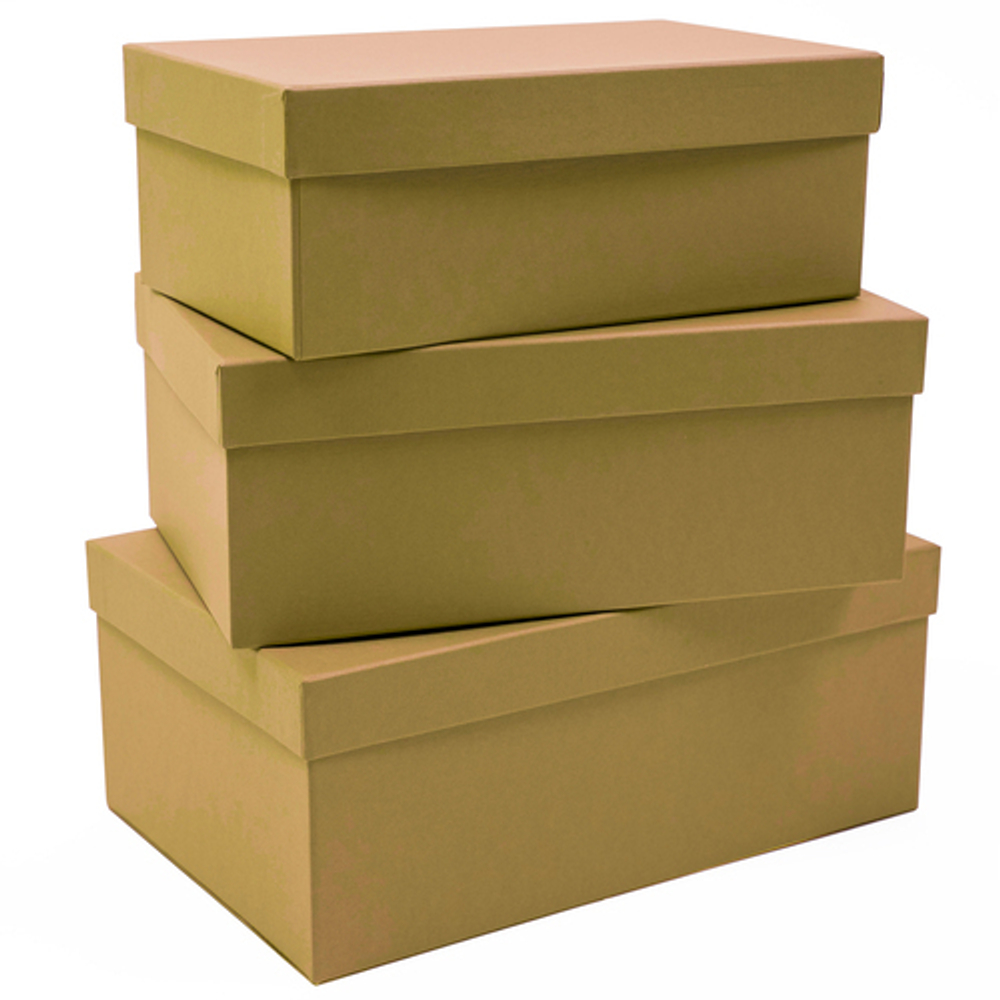 Коробка ПРЯМОУГОЛЬНАЯ 23,5*15*9,2