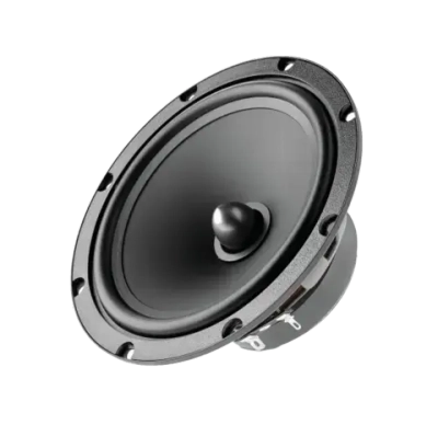 Динамики Focal ASE 165
