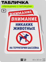 Табличка "Внимание, никаких животных на территории бассейна" на дверь и забор, для двора, дома, подъезда, 40х30 см, Silver Plane x Айдентика Технолоджи