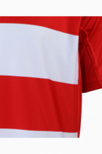 Футболка Nike Team Rugby Hoop