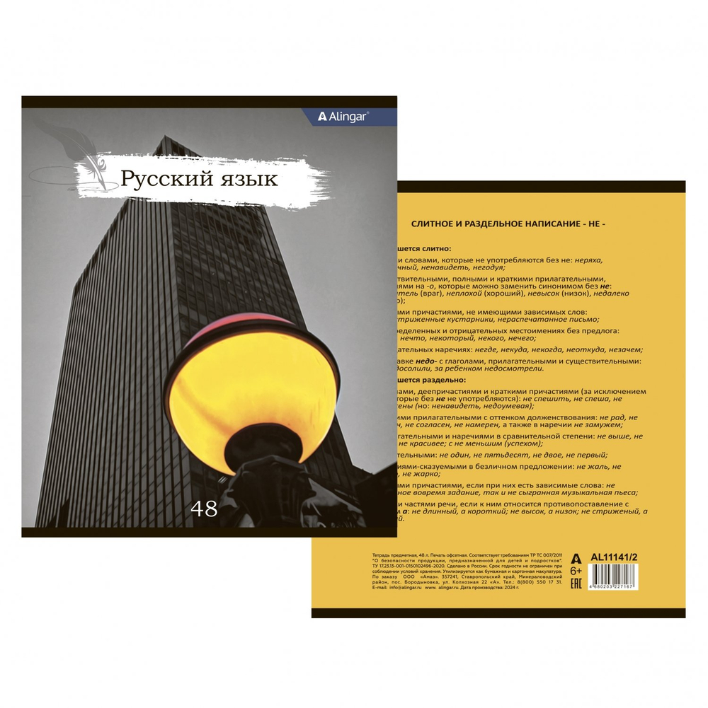 Тетрадь предметная "Русский язык" А5 48л., линия, со справочным матер, скрепка, мелованный картон(стандарт), блок офсет, Alingar "Город контрастов"