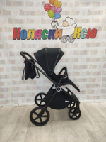 Коляска модульная Rant Teo Black
