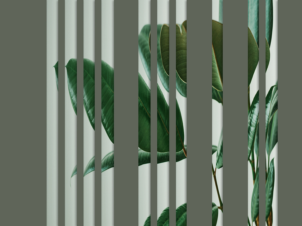 Коллекция GREENDAY 22