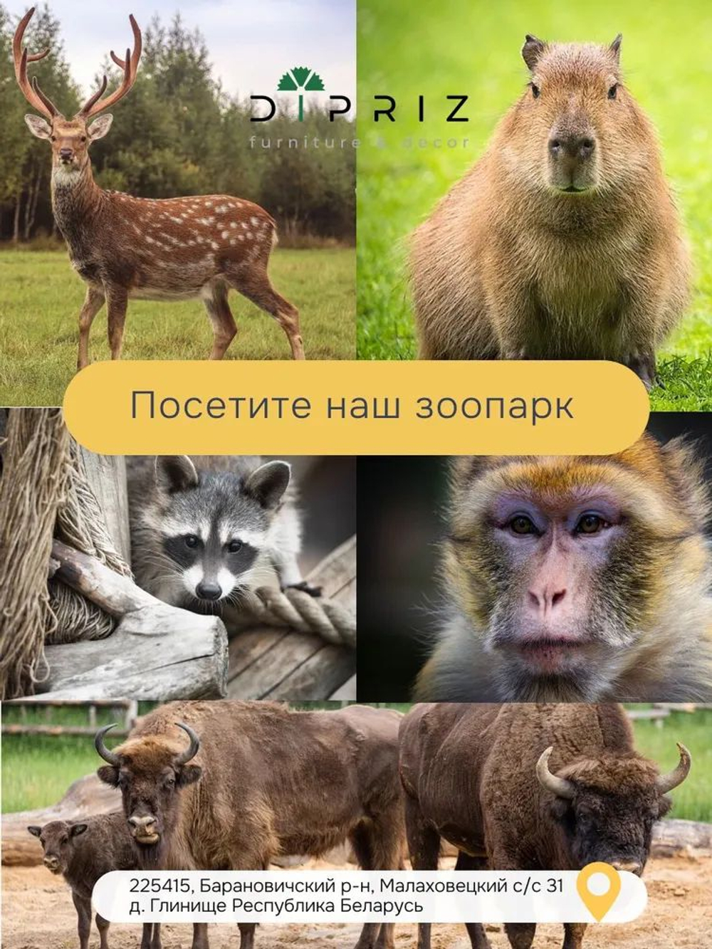 Кухонный модуль напольный 40х60х85, Малага, со столешницей, с дубом, зеленый самшит, Dipriz