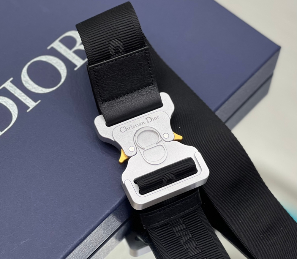Christian Dior Saddle 26 cm