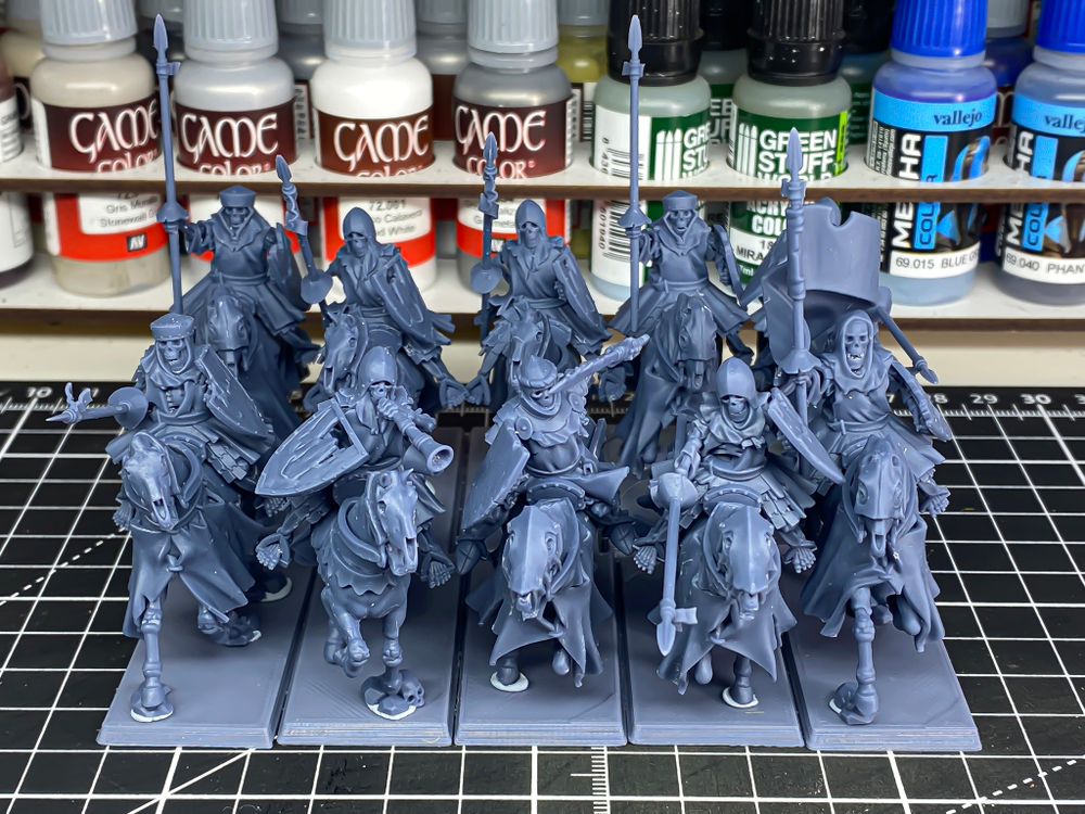 Mounted Skeletons