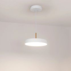 Светильник SP-ELEGANT-R300-17W Day4000 (WH, 120 deg, 230V) (Arlight, IP20 Металл, 3 года) 033919(1)