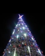 Уличная Гирлянда: холодный белый "Тающие сосульки" для елок от 3 до 19 м