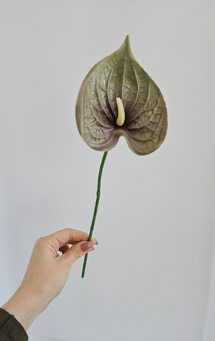 Антуриум одиночный мини / Арт 2005