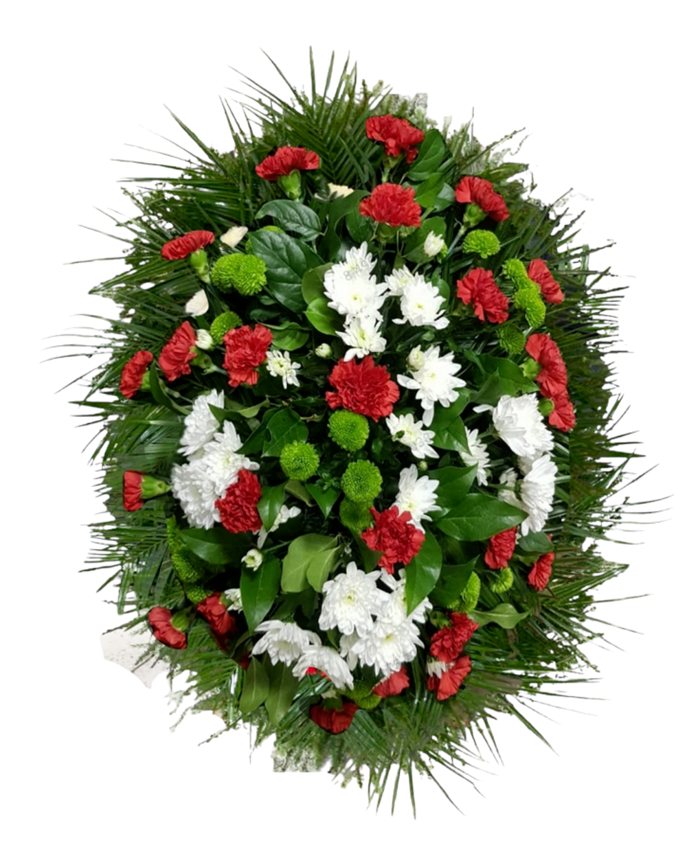 Траурный венок из живых гвоздик и хризантем (ВЖ-25) 150 см.