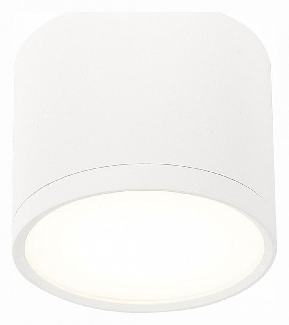 Накладной светильник ST-Luce Rene ST113.542.09