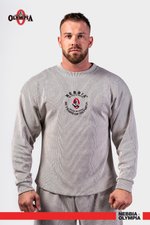 Свитшот Oversized Pullover SIGNATURE 797 Светло серый