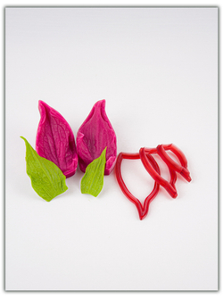 Чашелистик подсолнуха