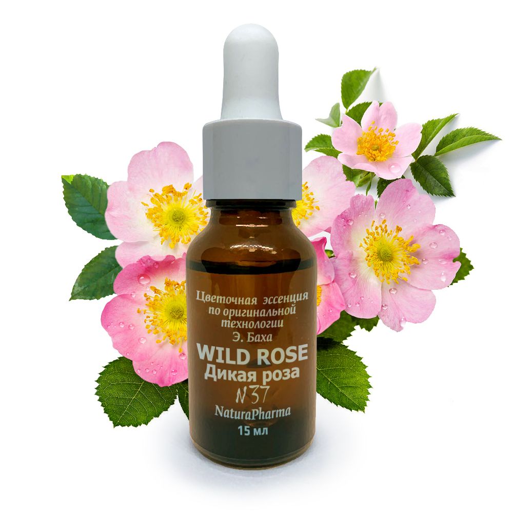 №37 Wild rose Дикая роза Цветок жизнерадостности, 15 мл - Цветочные эссенции Баха