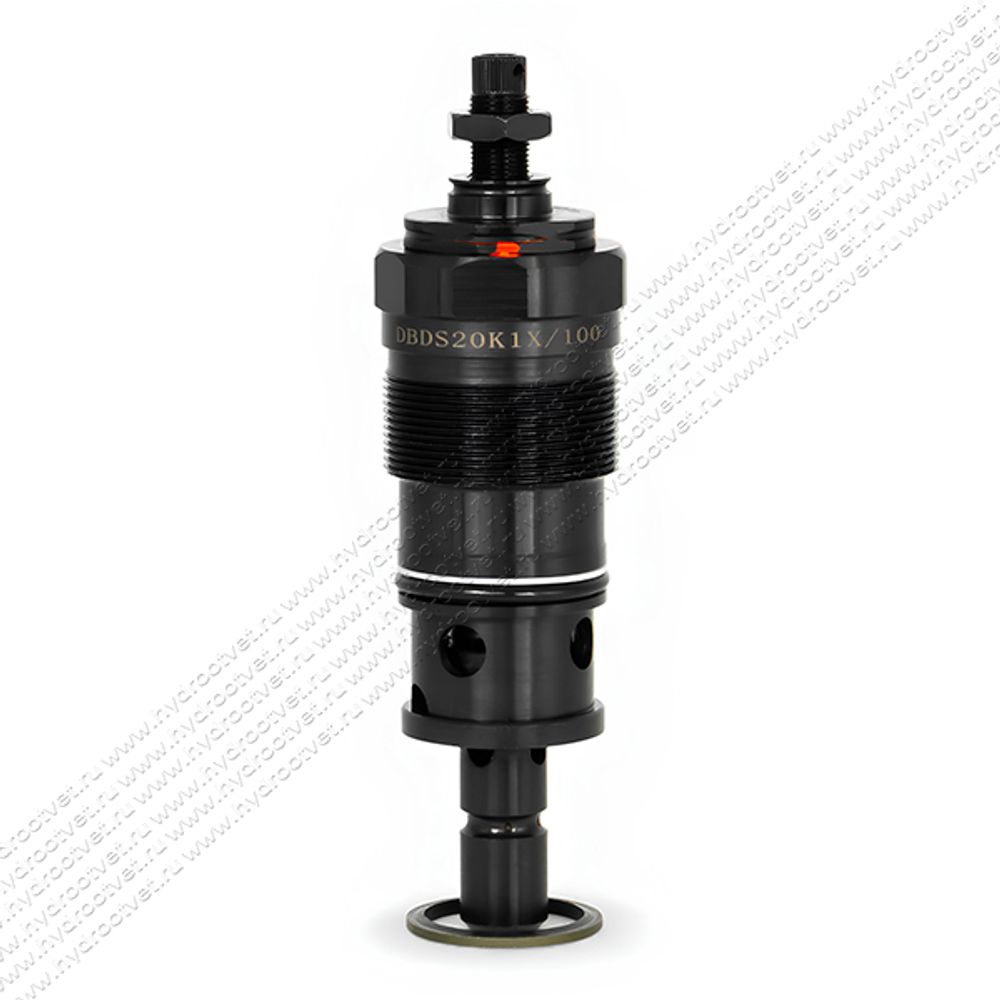 DBDS20K1X/100