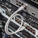 Шнур коммутационный патч-корд F/UTP RJ45-RJ45, CAT 6, LSZH серый, 0,5м REXANT