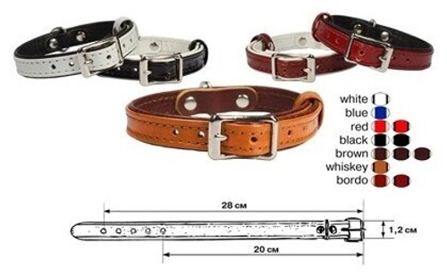 Ошейник Zoo-M "Классика"  для кошек и собак 12 мм обхват шеи 20-28 см.