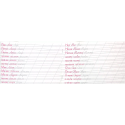 Каллиграфическая пропись. Пишем слова