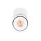 Спот Loft IT Focus 10323/A White