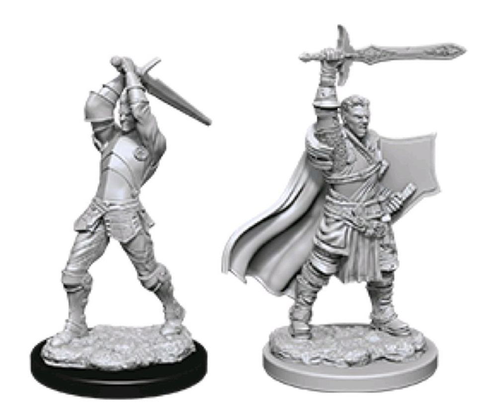 D&D Nolzur's Marvelous Miniatures - Male Human Paladin D&D Nolzur's Marvelous Miniatures - Male Human Paladin