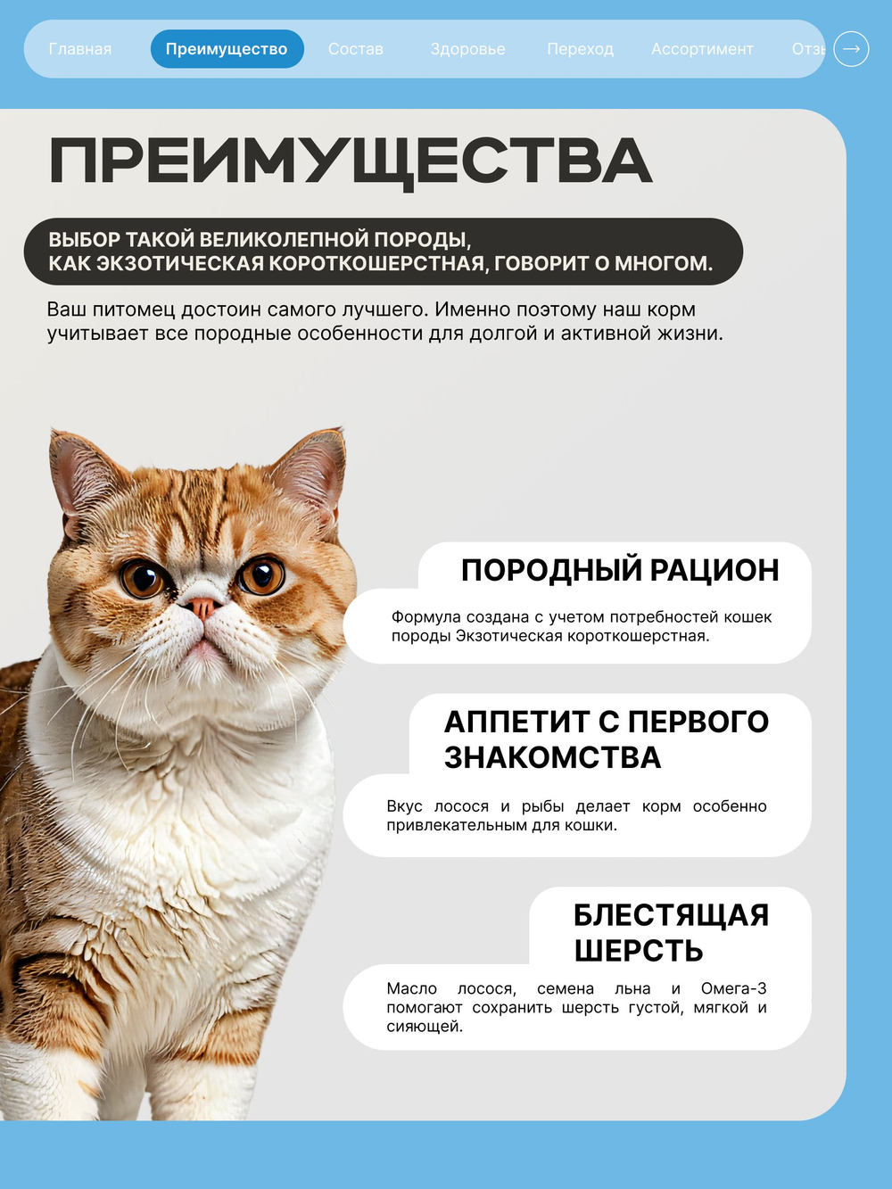 Корм сухой для взрослых кошек породы Экзотическая короткошерстная, с лососем, 400 гр, QUATTRO
