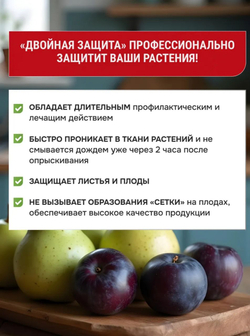 Раёк – системный фунгицид для защиты яблони, груши, сахарной и кормовой свеклы, картофеля и томатов от комплекса болезней.