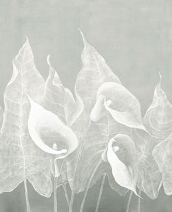 Бесшовная фреска Скин IMPRESSIO, 2,7 м (Ширина 4 м)