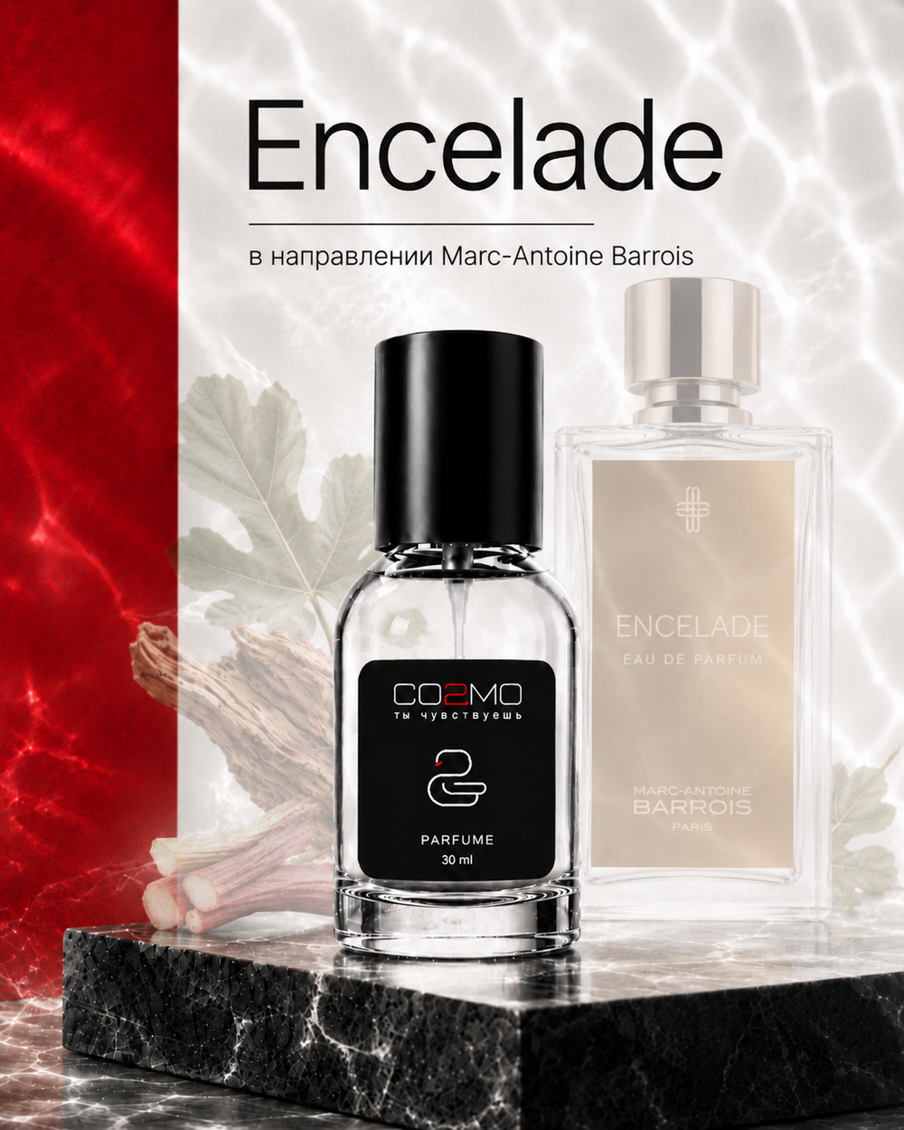 Marc-Antoine Barrois Encelade