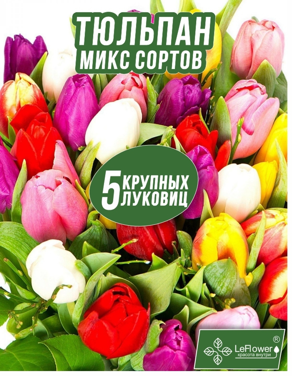 Тюльпан Луковица, Микс сортов 5 шт, крупные