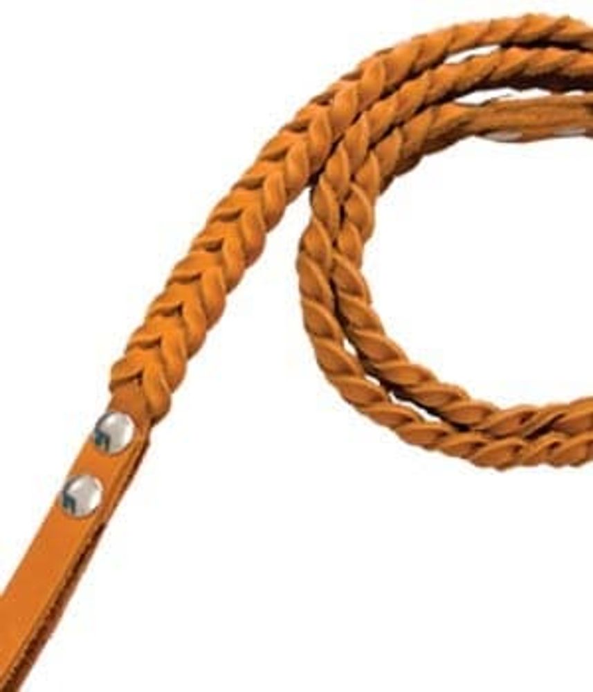 Поводок BUDDY колосок ВМ 120110