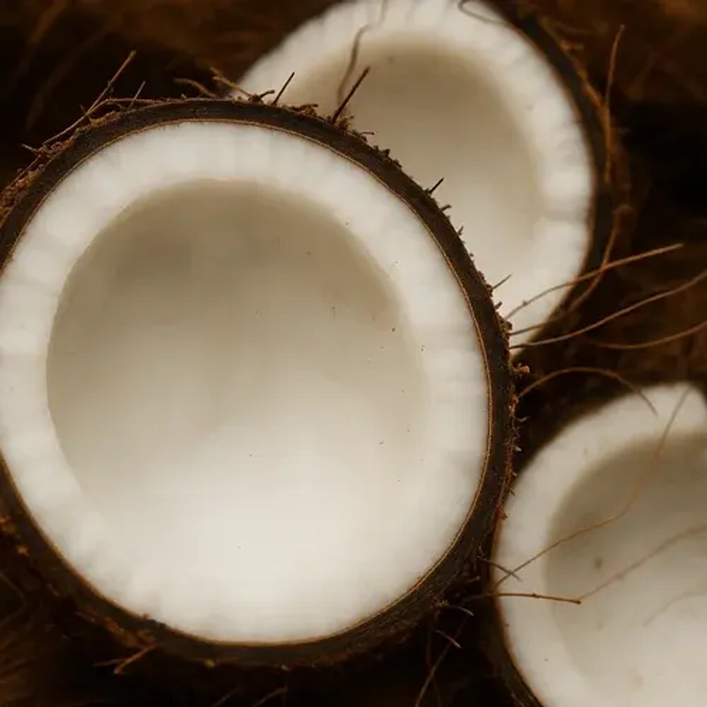 Отдушка TFC - Аромат кокоса (Coconut)