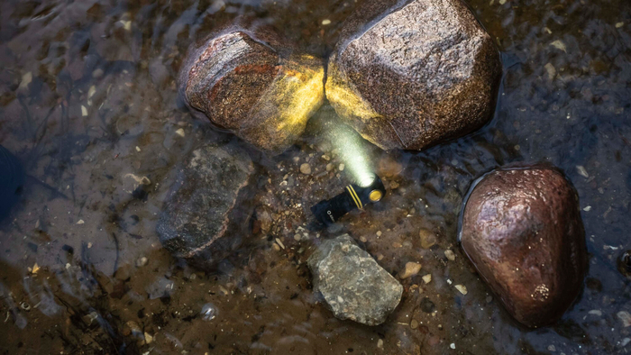 Фонарь Armytek Elf C1 USB-C (F05003C)