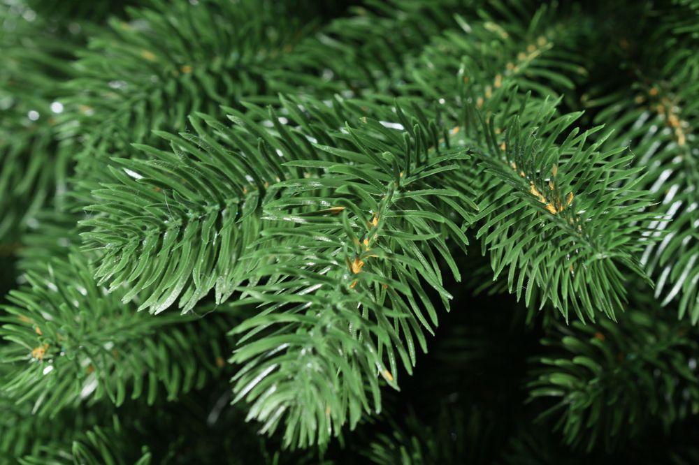 Ель искусственная «Сказочная» (Литая хвоя) 185 см / 1,85 м