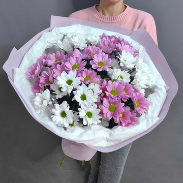 Букет из 7 хризантем сорта "BALLERINAS" и "KENNEDY WHITE"