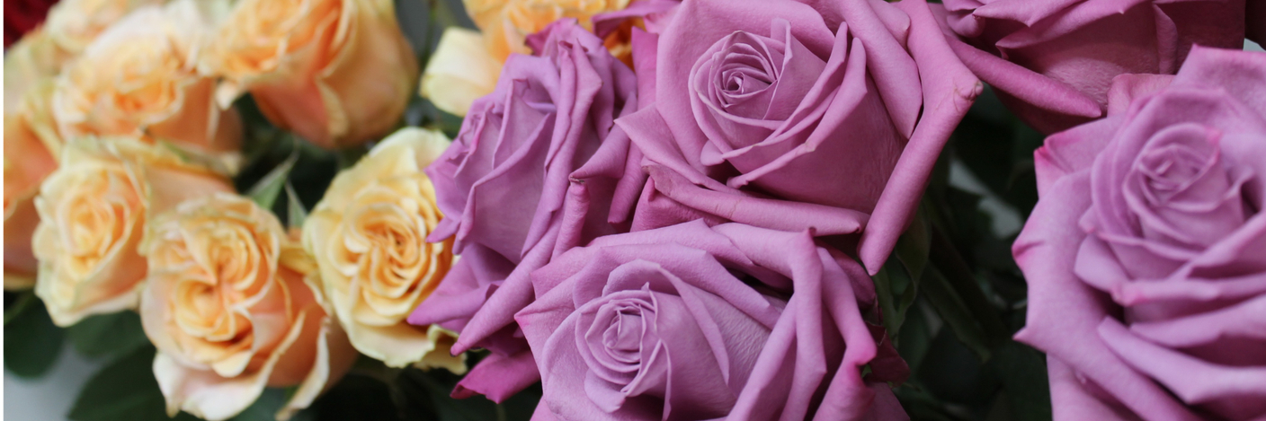 Специальное предложение для новых клиентов