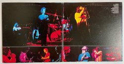 Винтажная виниловая пластинка LP The Doors Absolutely Live (Japan 1978) (No Obi)