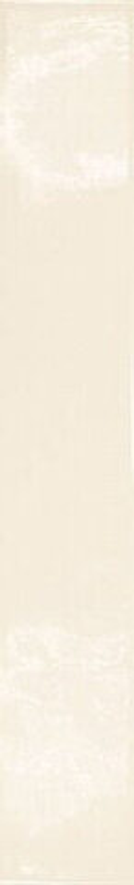 Equipe Country Ivory 6.5x40