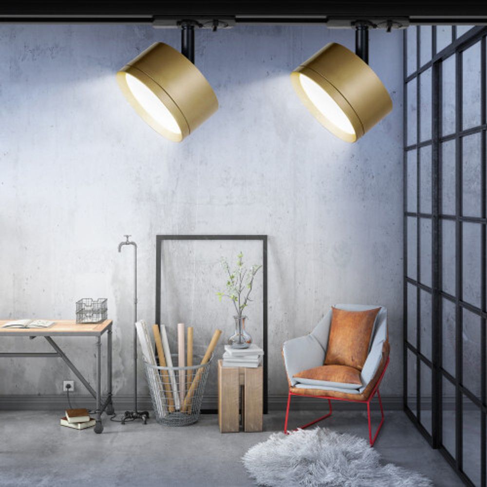 Трековый светильник однофазный ЭРА TR48 - GX53 MG под лампу GX53 матовое золото