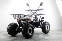 Квадроцикл MOTAX ATV Grizlik Premium 125cc