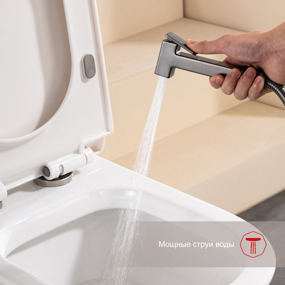 Гигиенический душ со смесителем Raglo R51.51.09, графит