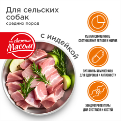 Корм сухой для взрослых собак средних пород, премиум полнорационный комплекс, для живущих в сельской местности, с индейкой, 12 кг, QUATTRO