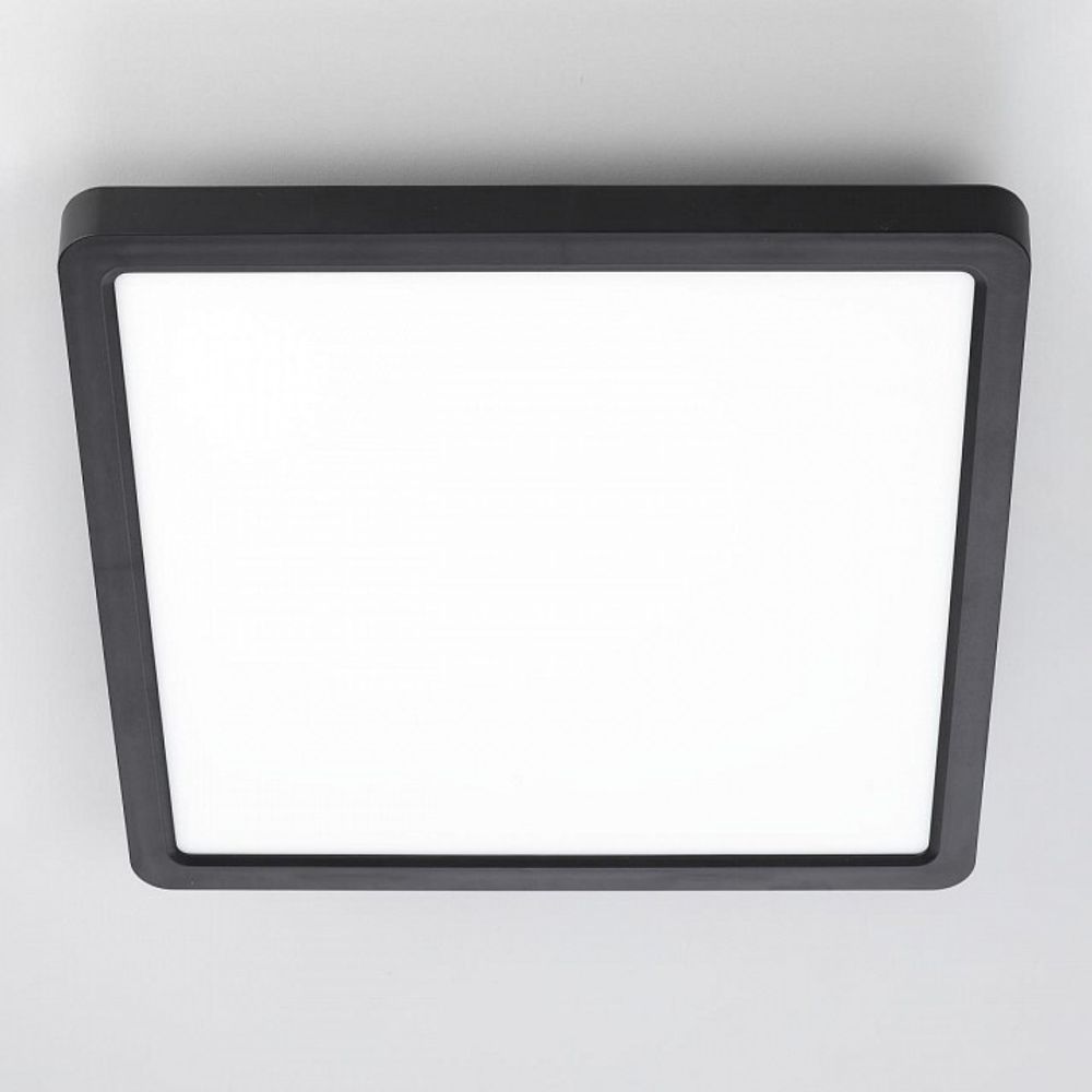 Накладной светильник Citilux Бейсик CL738K241V