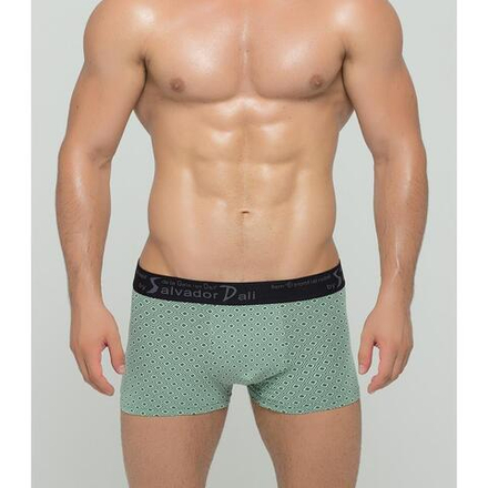 Мужские трусы боксеры зеленые Salvador Dali SD2017-3