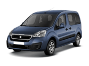 Багажники на Peugeot Partner II (Tepee) 2008-2022 штатные места