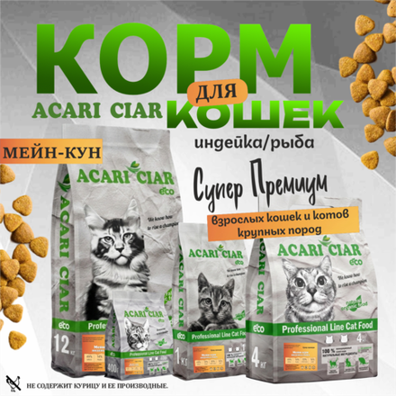 Acari Ciar А КЭТ Мейн-кун Индейка