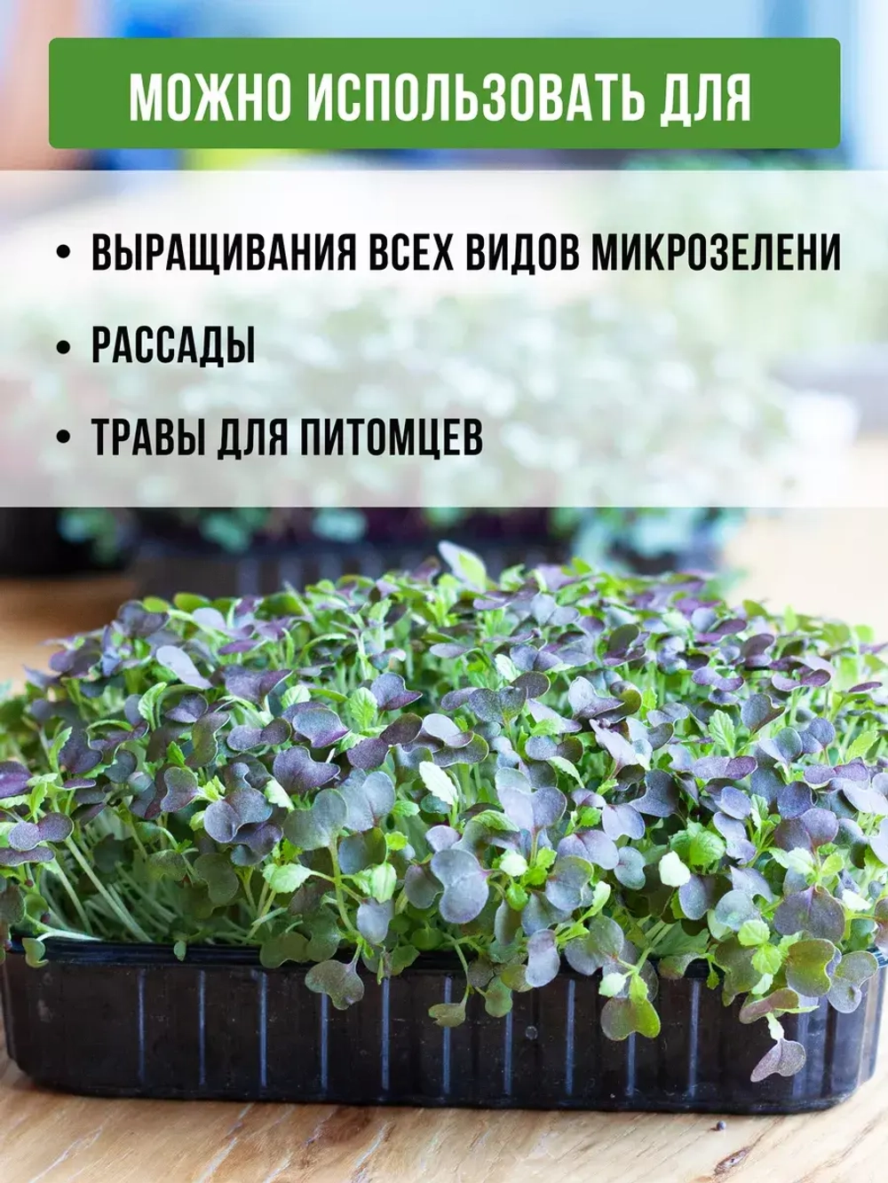 Лотки для выращивания микрозелени пластиковые 500 МЛ, 20 ШТ