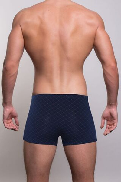 Мужские трусы-боксеры с узором-сеткой (Размер: L) (Цвет: синий)