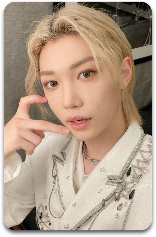 Карта / STRAY KIDS #2542