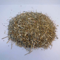 Желтушник серый (трава) 500гр.