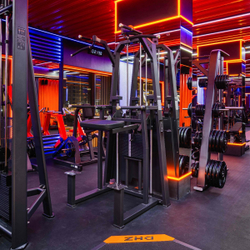 U3009C (E3009) Турник, брусья с противовесом. Стек 88 кг